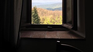 Una habitación con un ventanal grande que da a un paisaje boscoso.