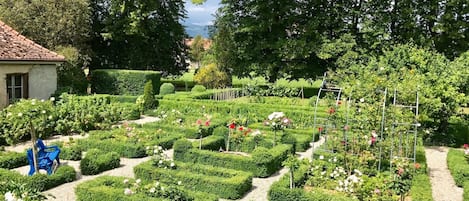 Vue aérienne