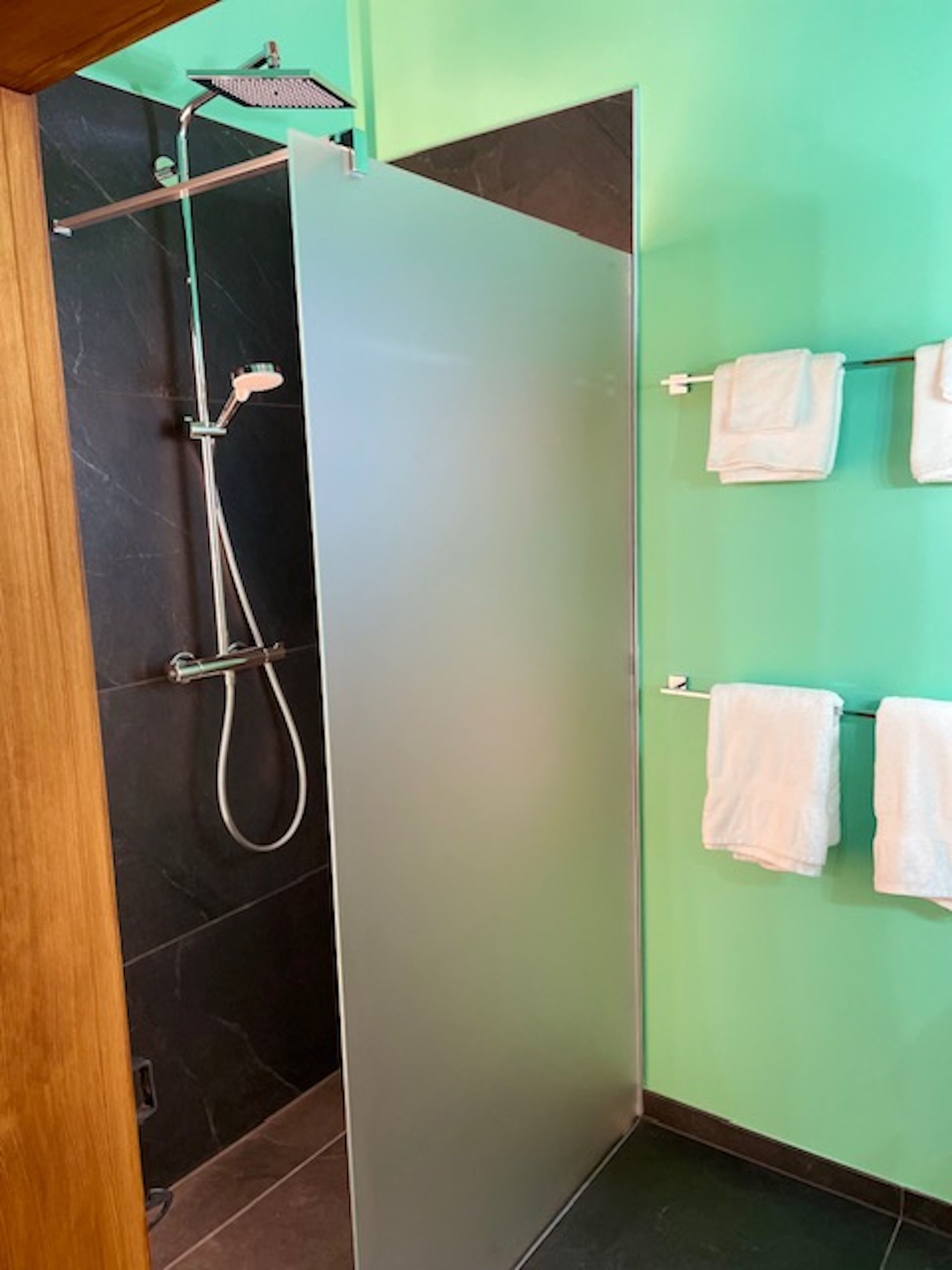 Une salle de bain avec une douche, un porte-serviettes avec des serviettes et une porte.