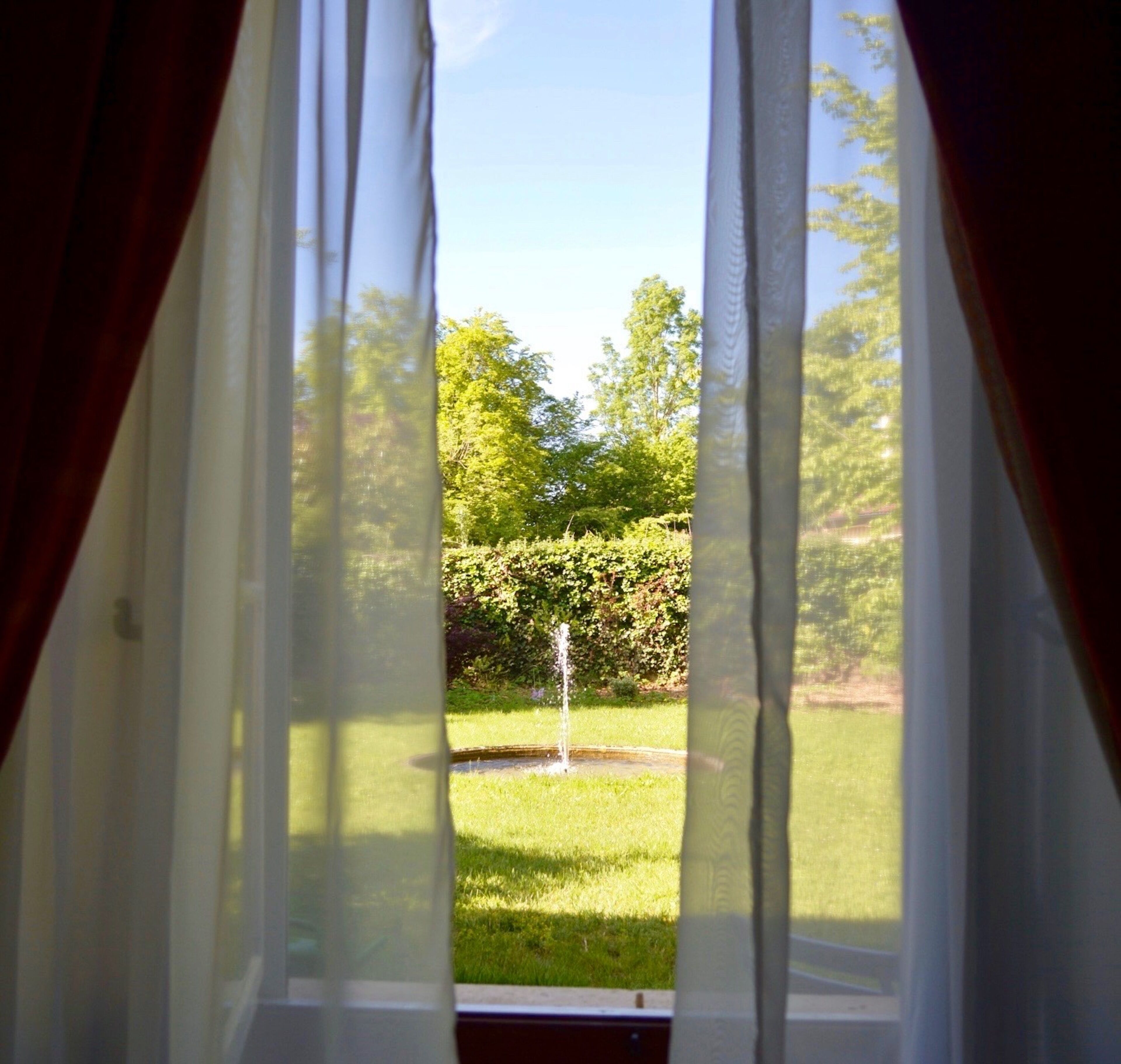 A window with sheer curtains, a view of a grassy area with trees and a hedge.