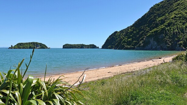 Ein Strand mit klarem, blauem Wasser, sandigem Ufer und üppigen, grünen Hügeln im Hintergrund.