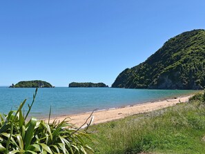 A beach with clear blue water, sandy shore, and lush green hills in the background.