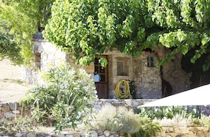 Detalle del exterior