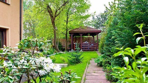 Ảnh chưa phân loại, 1 trong số 38 ảnh, nút