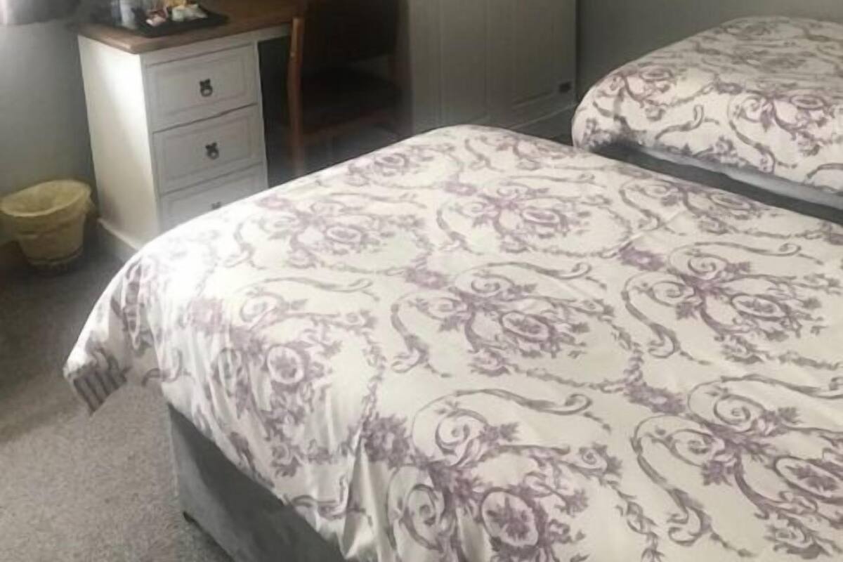 A bedroom with two beds, a dresser, a television, and a wardrobe.