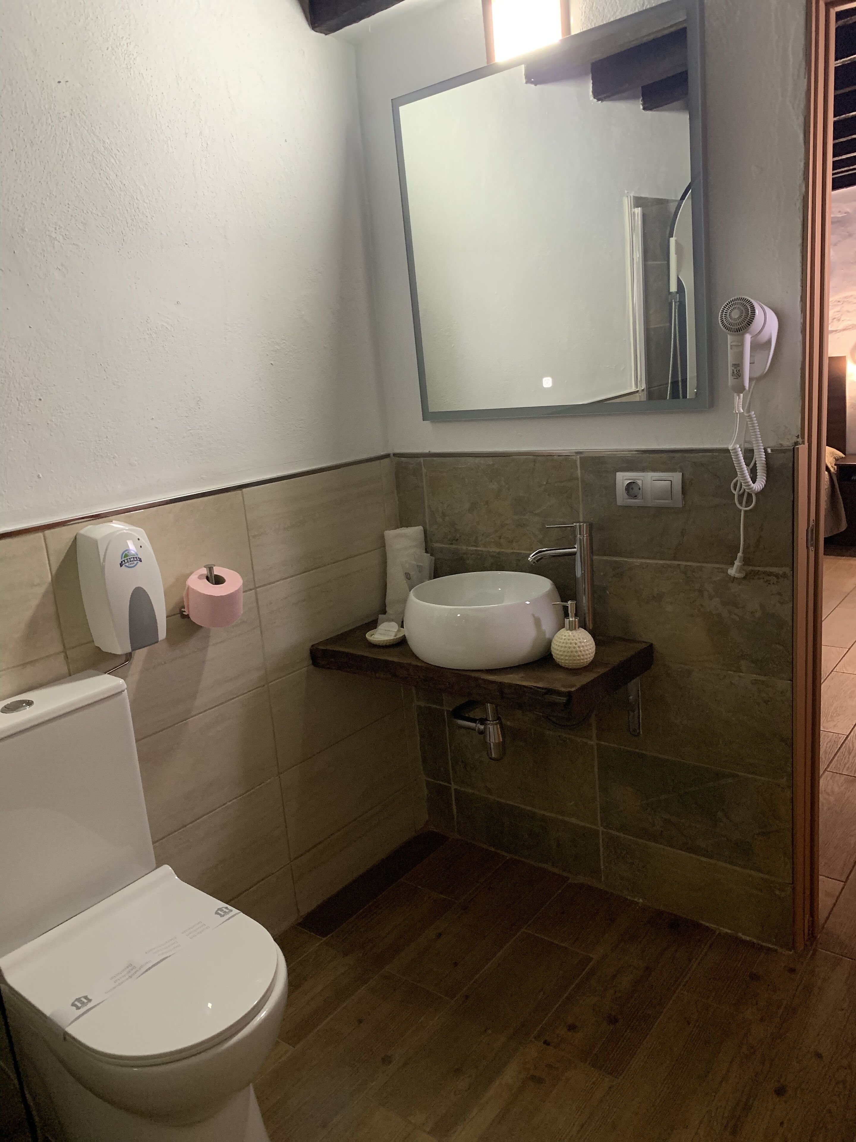 A small bathroom with a toilet, a sink, a mirror, and a hairdryer.