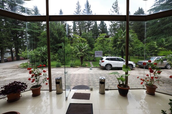 A glass-enclosed entrance with potted plants and a wet pavement outside.
