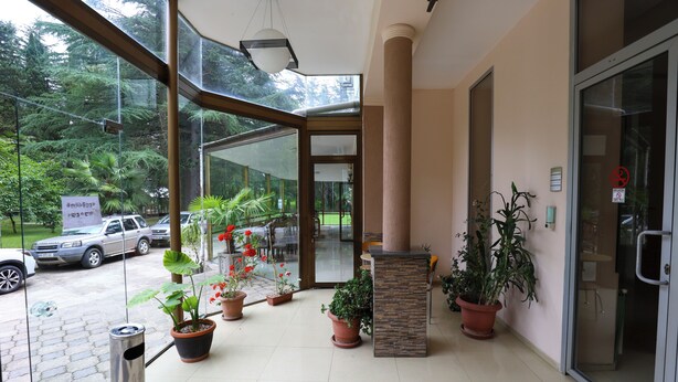 Entrada de hotel con puerta de vidrio, plantas en macetas y un cubo de basura.