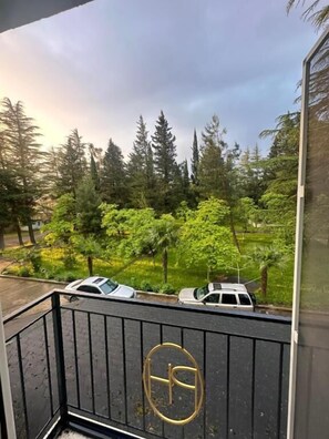 View from property - Park Hotel Imeri Kutaisi (Kutaisi)
