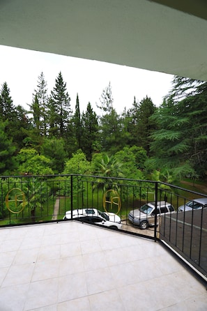 A balcony with a tiled floor and a black metal railing. There are cars parked in the background and a dense forest beyond.