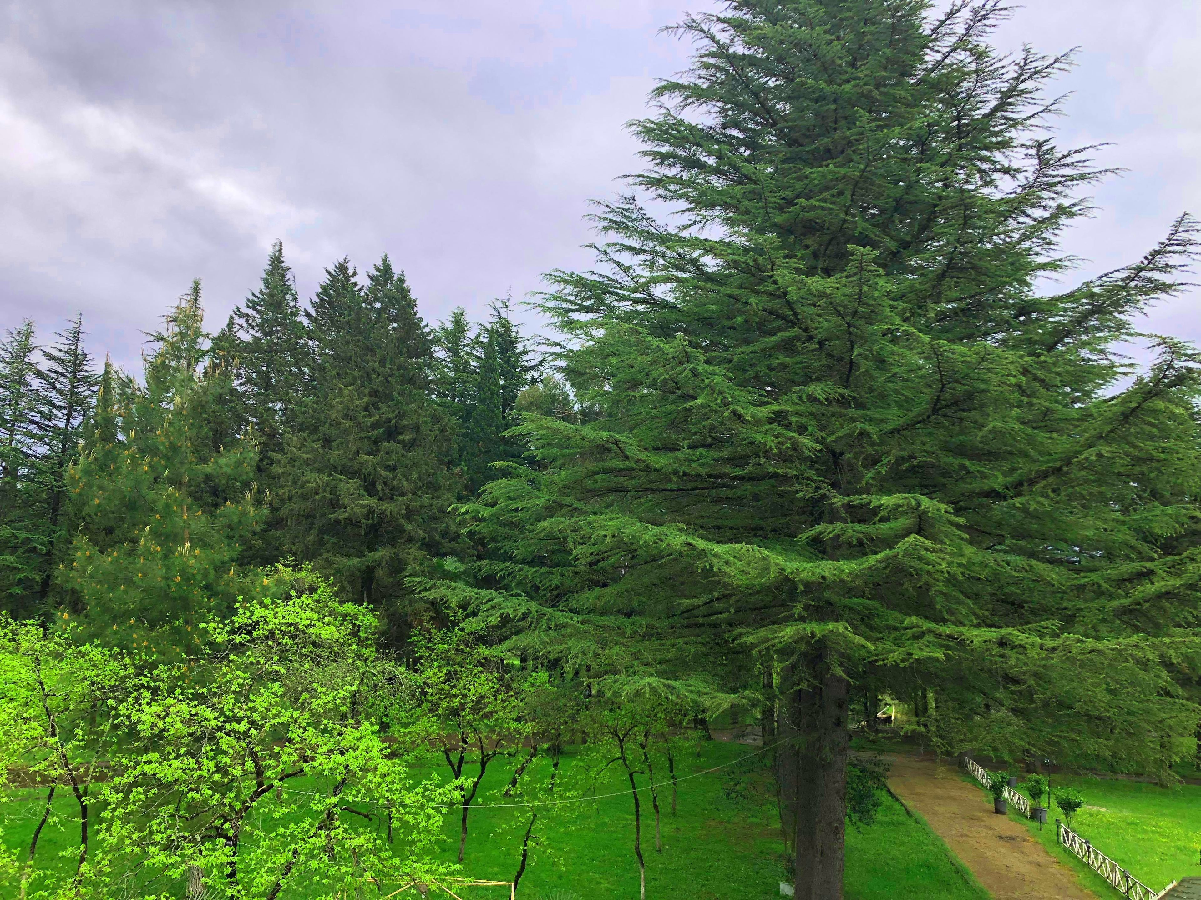 Photo - Park Hotel Imeri kutaisi