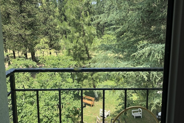 Vista a la montaña