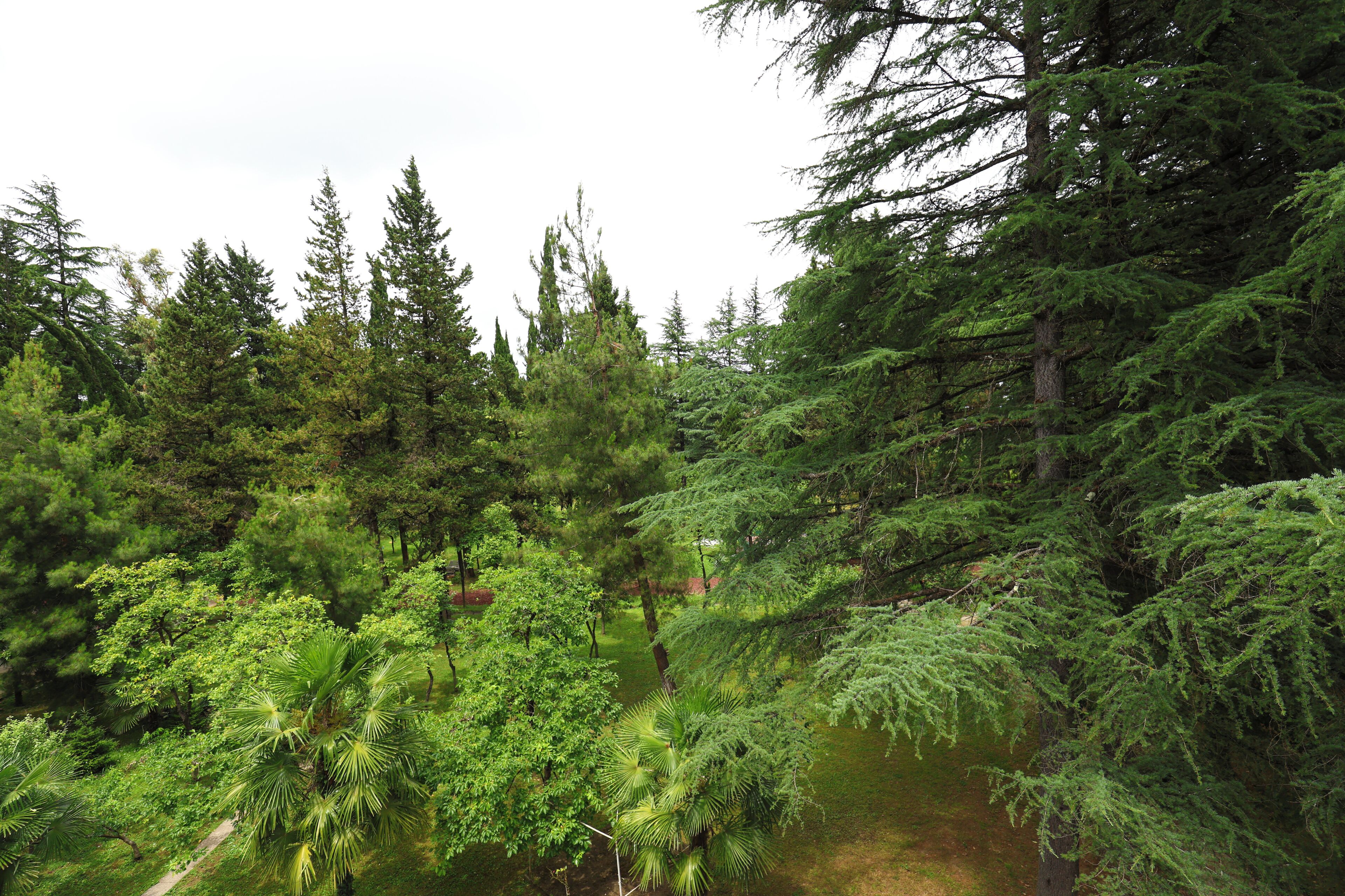 Photo - Park Hotel Imeri kutaisi