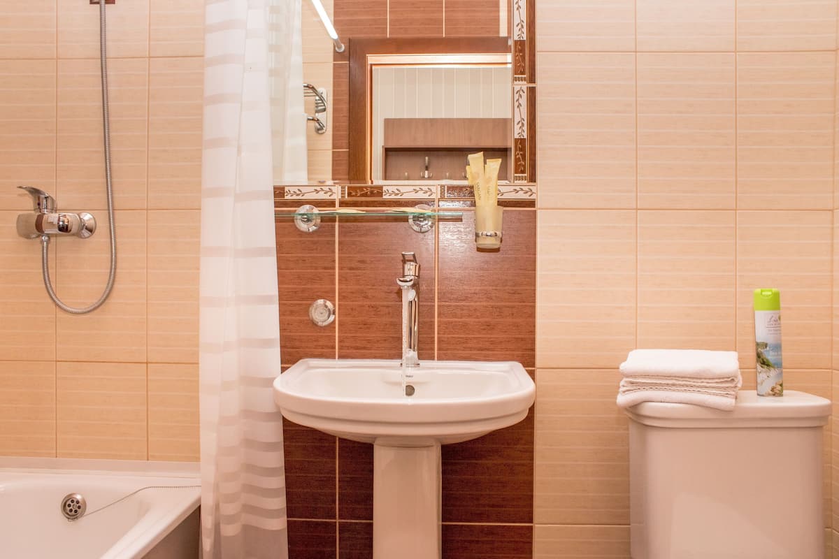 Standard Twin Room, Park View | Bathroom | Free toiletries, hair dryer, slippers, soap