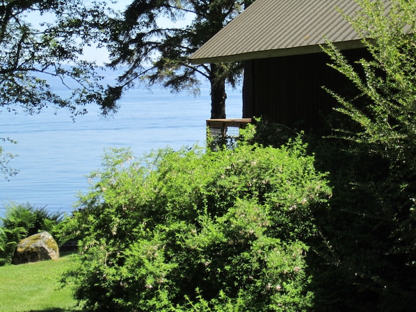 Un bâtiment doté d’un toit en métal, entouré d’une végétation luxuriante et avec une étendue d’eau en arrière-plan.