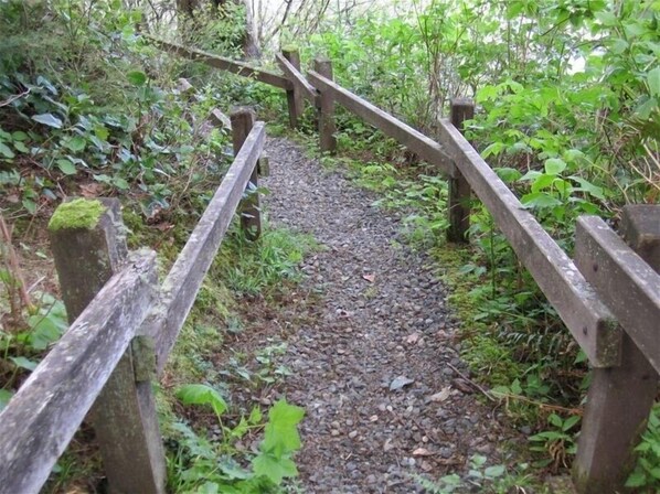 A gravel path with wooden railings, surrounded by dense greenery.