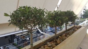 A row of trees with fruit, a stone-lined water feature, and a view of a shopping area with stores and parked cars. - Captain's Luxury Suite (Nea Smirni)