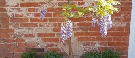 المنطقة المحيطة بالمنشأة