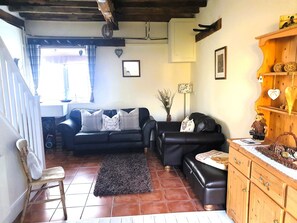 TV, DVD player, books, video library