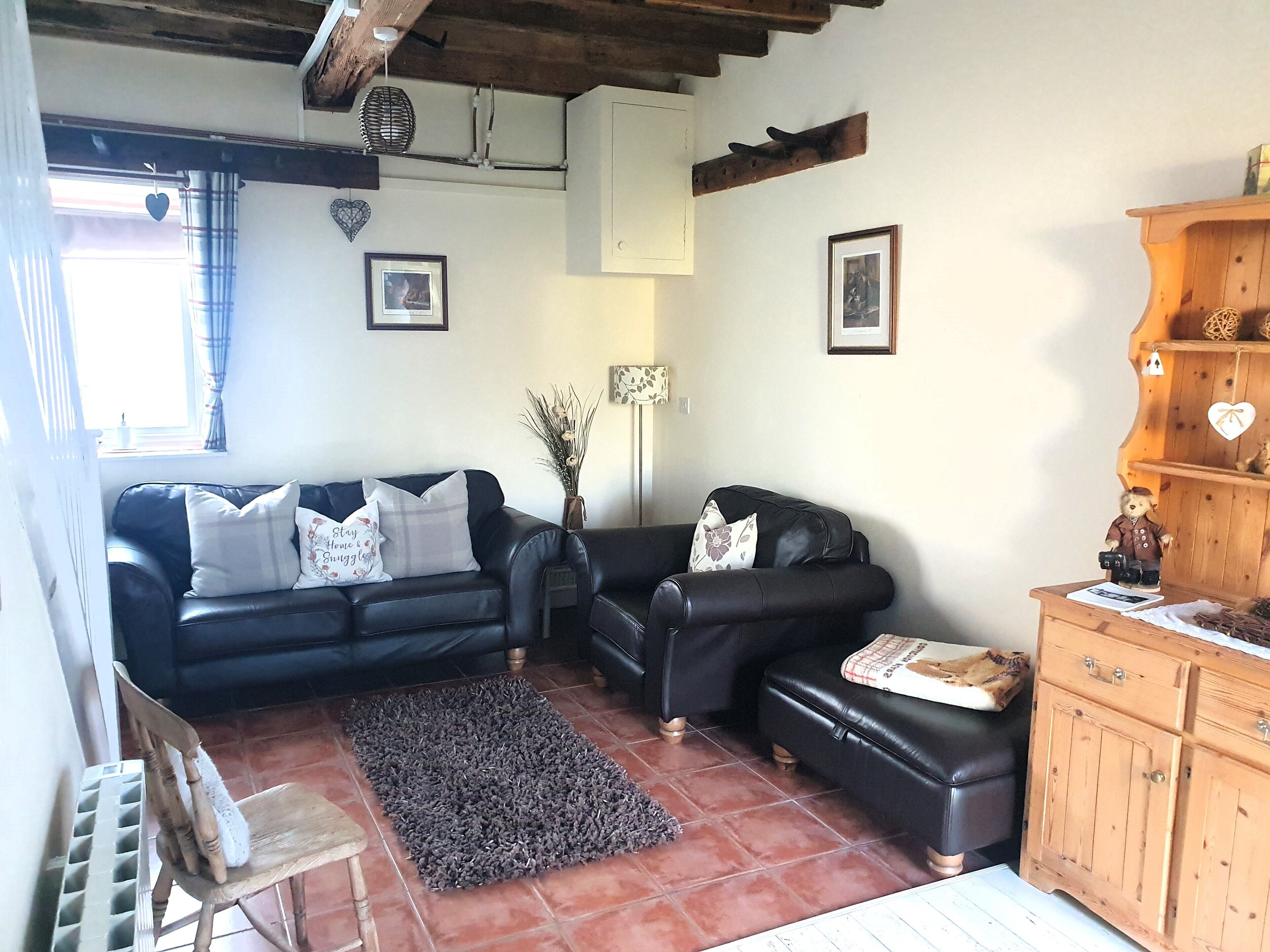 電視、DVD 播放機、書籍、影像庫