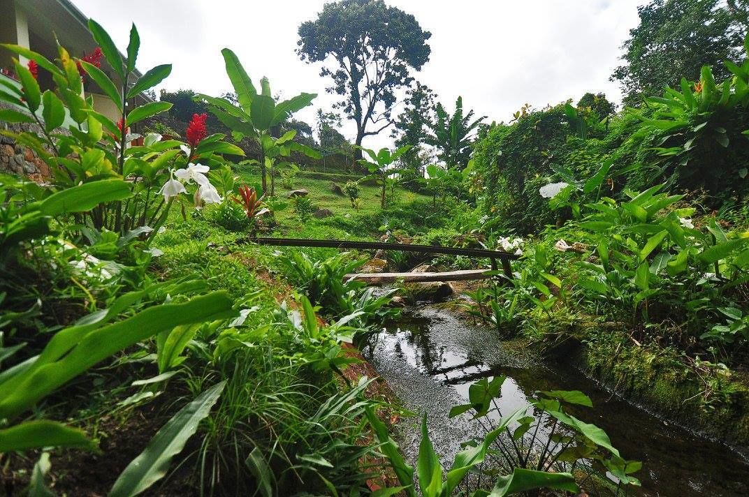 Appartement, 2 chambres (Hirondelle) | Vue de la chambre