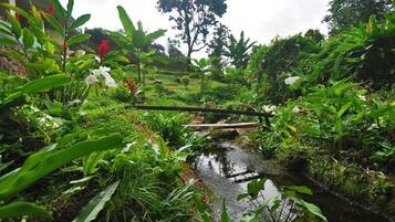 Appartement, 2 chambres (Hirondelle) | Vue de la chambre