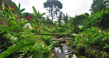 Chez Memere Holiday Apartments