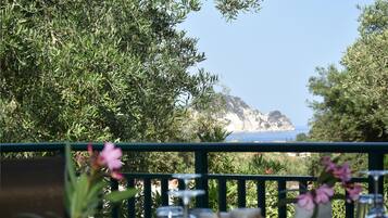 Deluxe Villa, 2 Bedrooms, Sea View | View from room