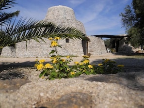 Exterior - Agriturismo Specchiarussa (Morciano di Leuca)