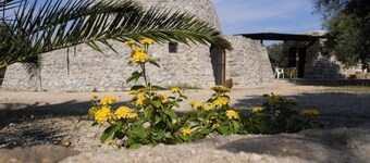 Agriturismo Specchiarussa