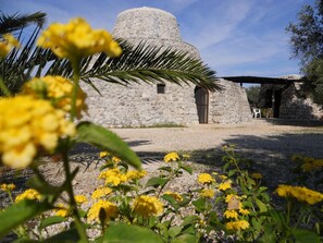 Un edificio in pietra con una struttura circolare e una porta, circondato da ghiaia e fiori gialli.