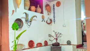 Een kamer met een betegelde vloer, een potplant en verschillende keramieken objecten aan de wand.