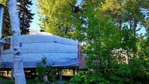 A covered outdoor area with a metal structure, surrounded by trees and greenery. - Big Red Yurt at Cabot Shores Wilderness Resort (Englishtown)