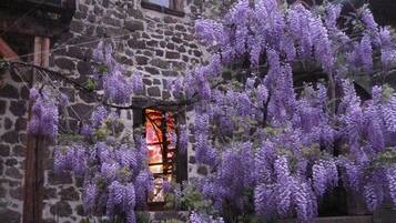 Loft (Pigeonnier) | 1 kamar tidur dan didekorasi berbeda-beda