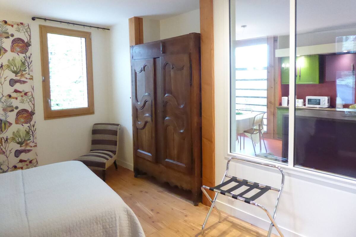 Grand Double Room (Comme un poisson dans l'eau) | 1 bedroom, desk, soundproofing, cribs (free)