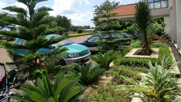 A parking area with several cars and lush greenery, including palm trees and other tropical plants. - Margarita Palace Hotel (Lira)