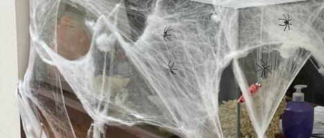 Une décoration sur le thème d’Halloween, avec une toile d’araignée et des squelettes sur un chariot en bois.