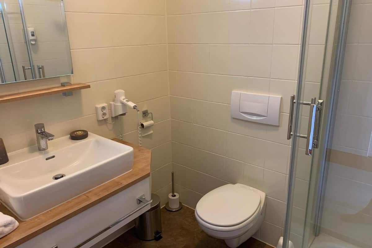 shower, free toiletries, hair dryer, towels