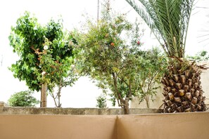 View from room - Dioni Hotel (Rethymno)