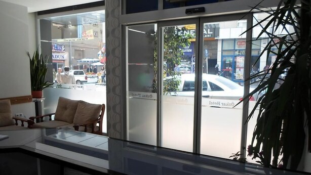 A reception area with a glass door leading outside, a reception desk, a potted plant, and a chair. - Hotel Ozkar (Mersin)