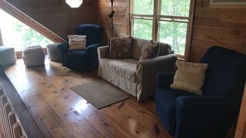 Télévision, cheminée, table de tennis de table, livres