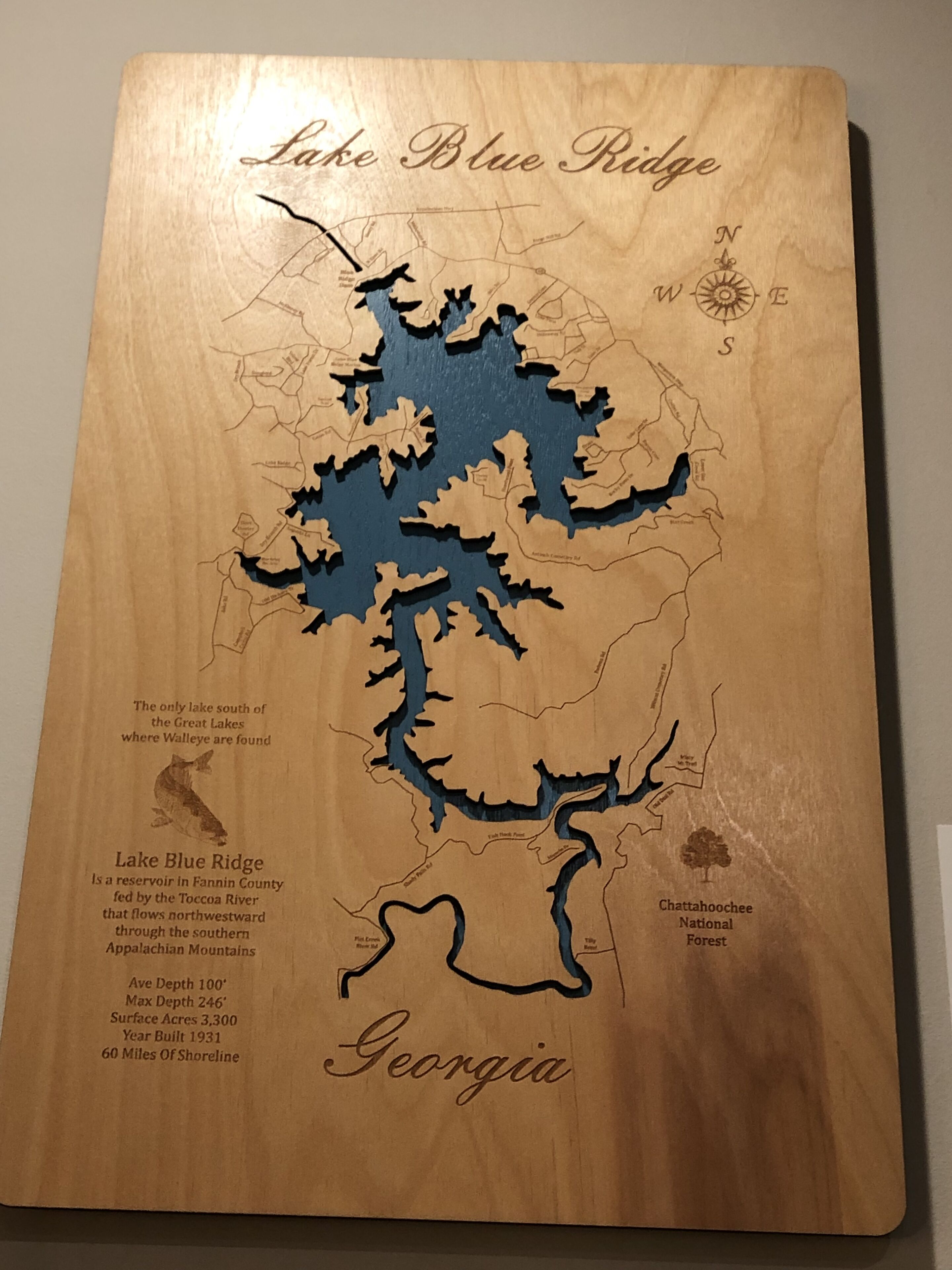 A wooden map of Lake Blue Ridge in Georgia, highlighting its location and surrounding areas.