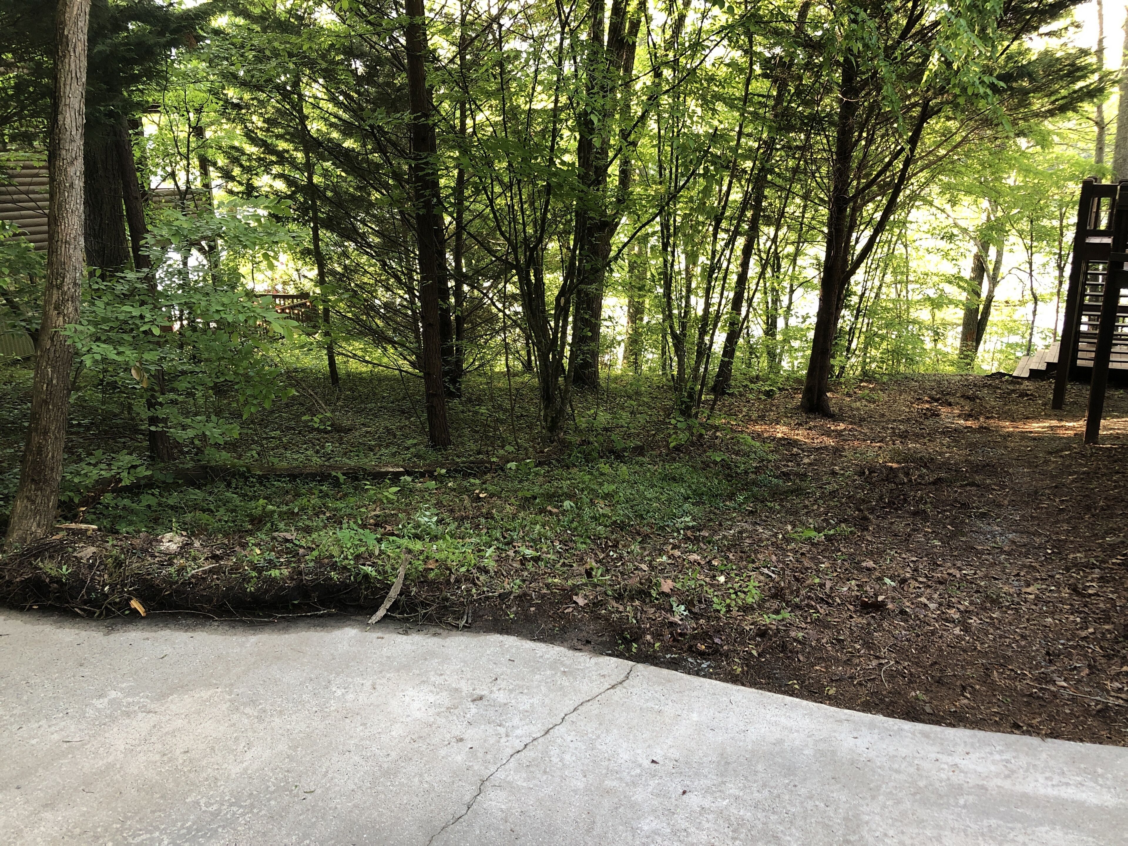 A concrete pathway leading into a forested area with dense green foliage and a wooden structure on the right.