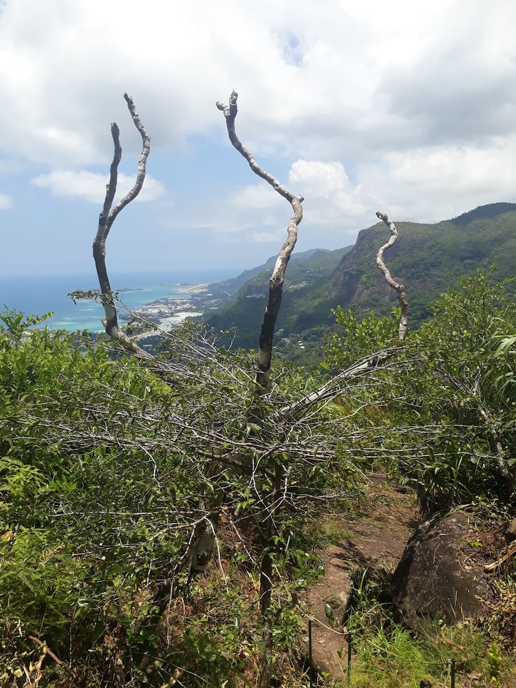 Casadani Hotel by null