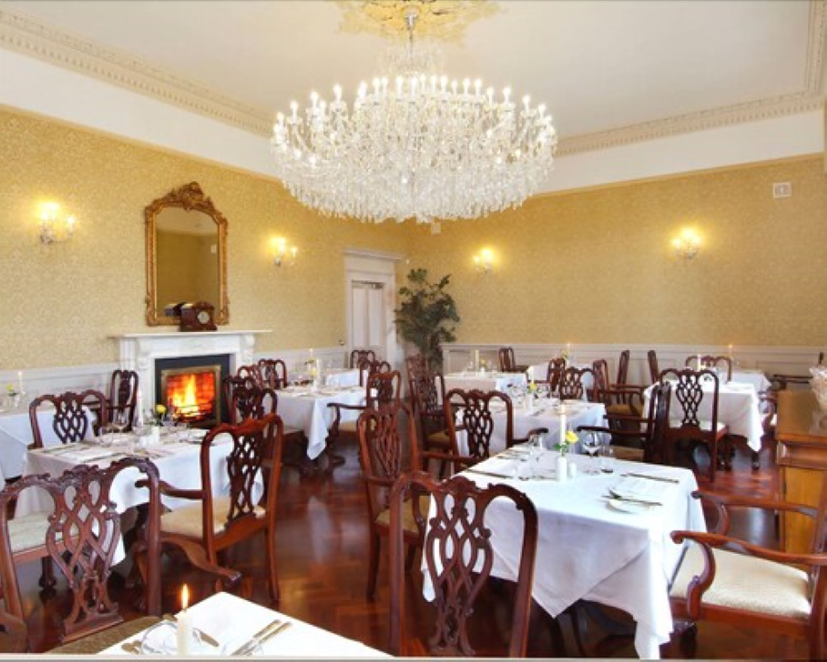 Free daily full breakfast