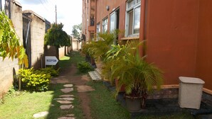 Un estrecho sendero bordeado por macetas con plantas y un cartel de recepción.