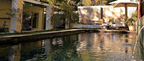 Outdoor pool, sun loungers