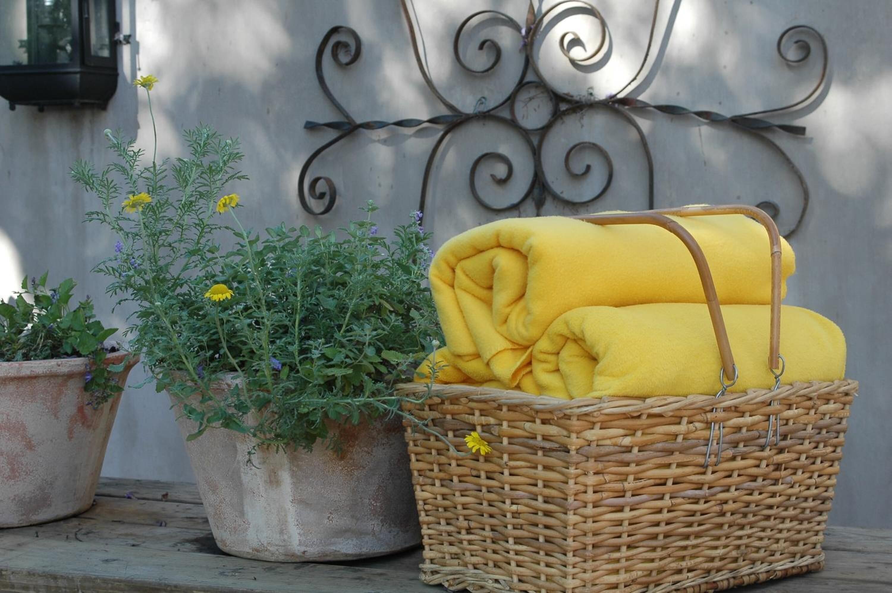 Ein Korankorb mit gelben Handtüchern und zwei Ürpflanzen mit gelben Blüten.