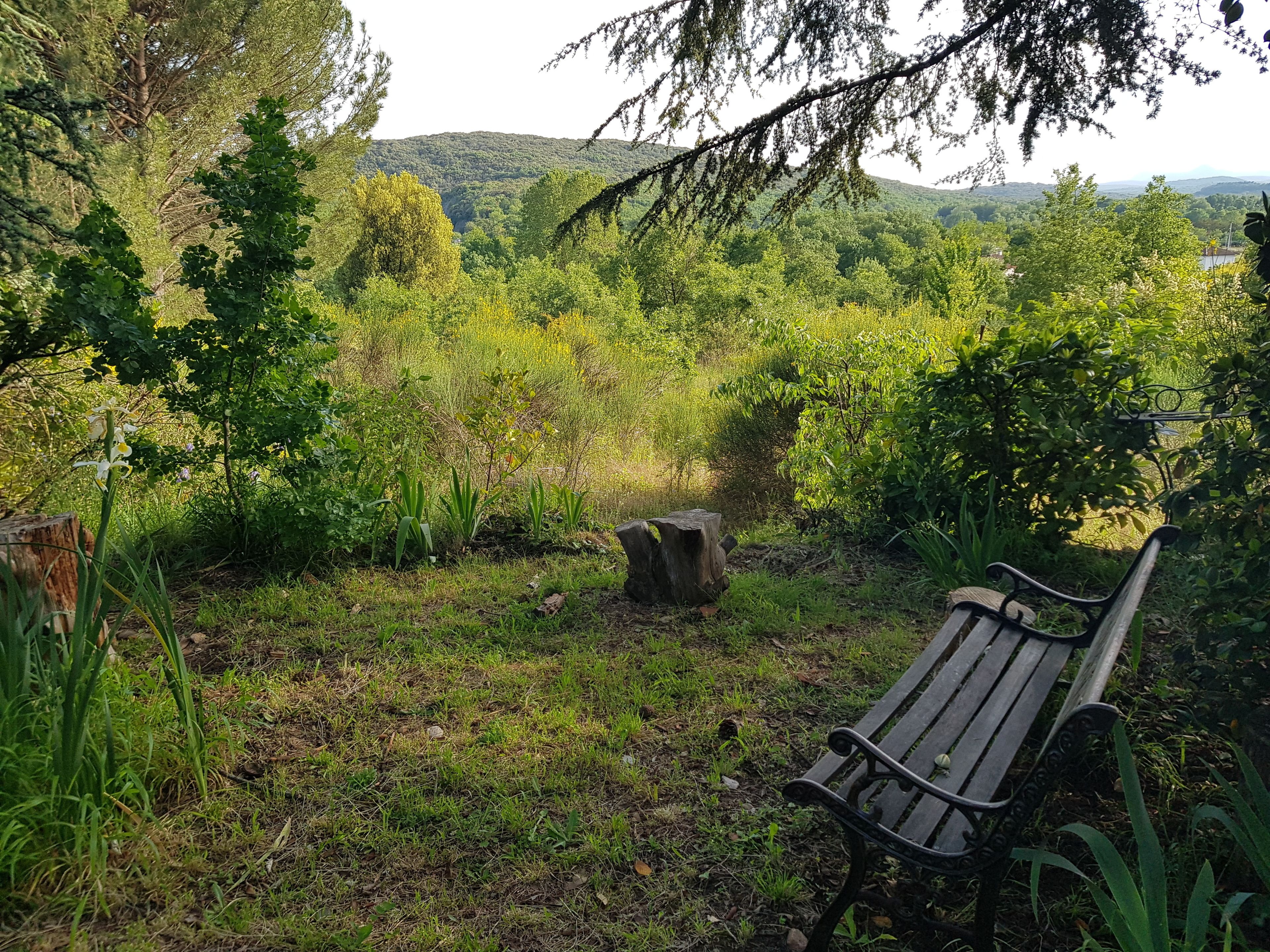 A bench in a natural setting with a forested hill in the background.