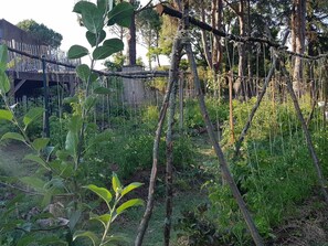 Garden - Mas des Ballats (Saint-Bauzille-de-Putois)